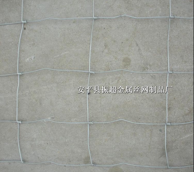 ԭ䓽zW,Ȧţ䓽zWhttp://www.koguitars.com