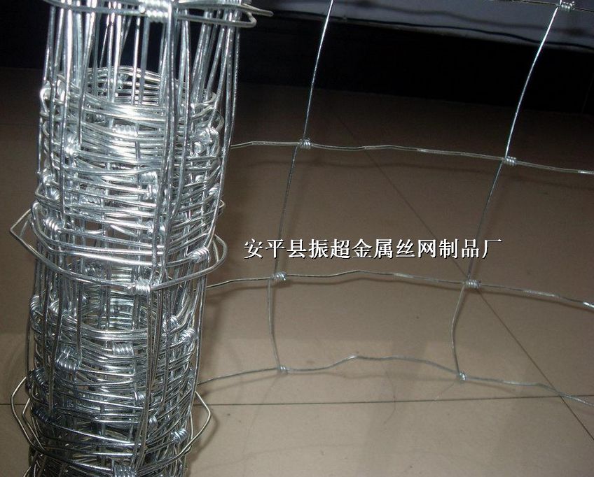 Ȧţ䓽zWȦţFzWȦţھWhttp://www.koguitars.com