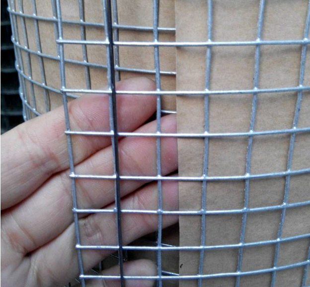 늺䓽zW-www.koguitars.com
